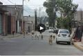 Miniatura de la versión del 15:57 22 oct 2016